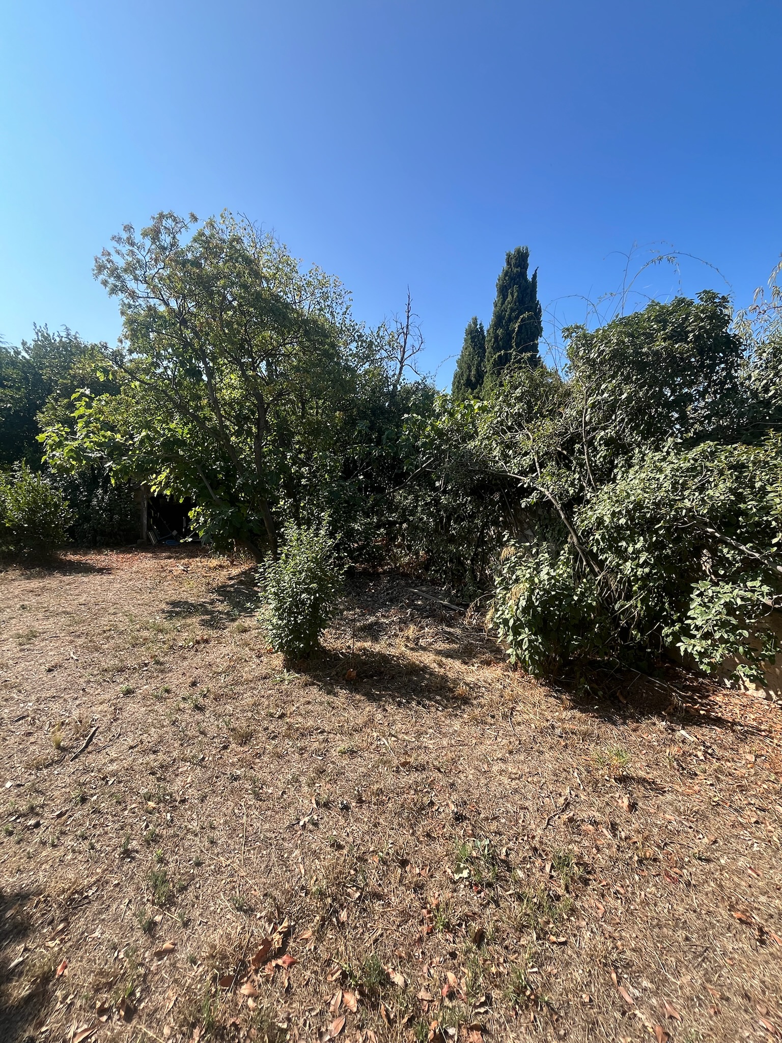 Chantier Bianco - Photo 31